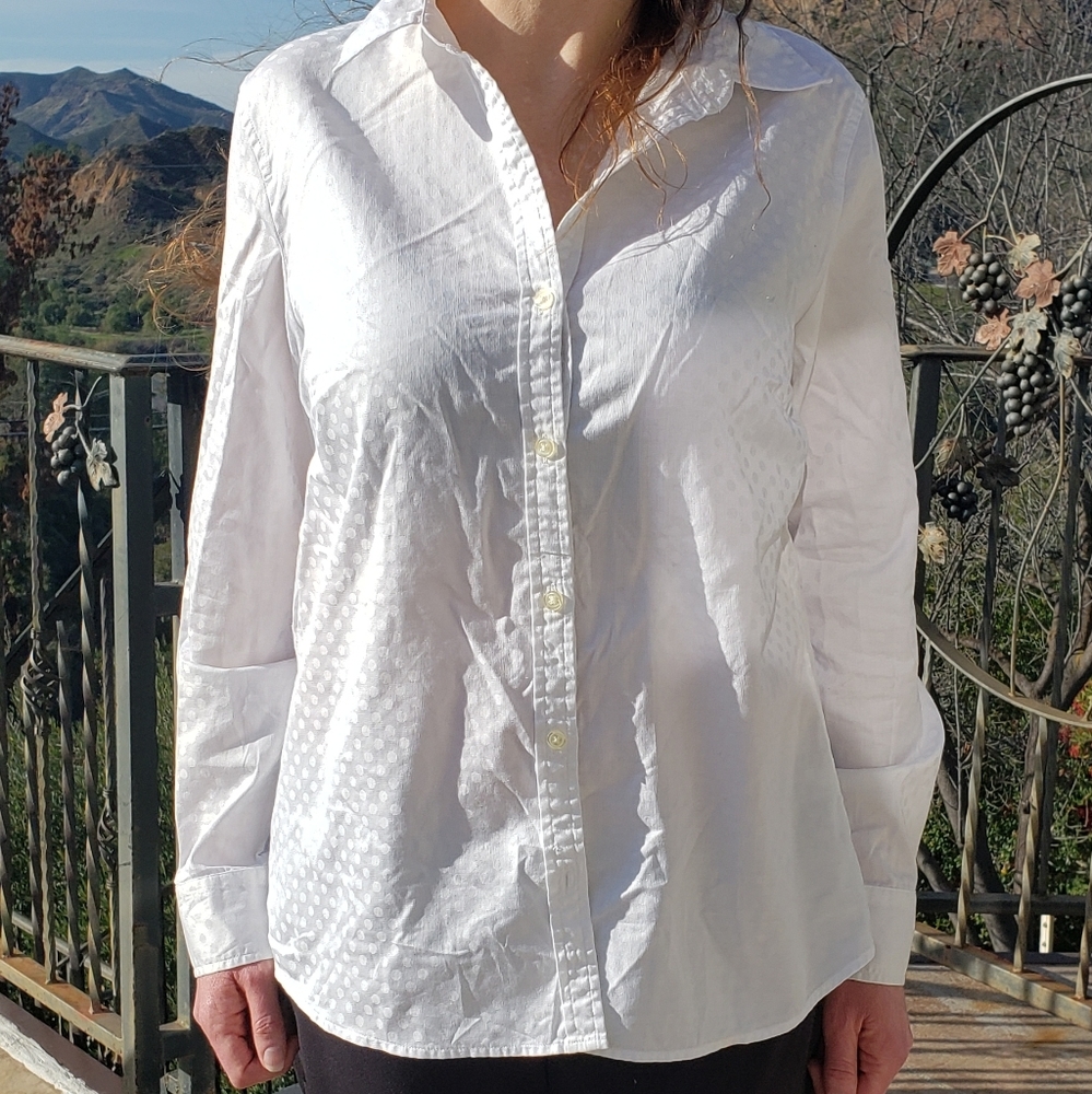 Banana Republic Fitted Long Sleeve Biz Button-up